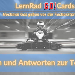 Die Go!Cards von Lernrad stellen sich vor